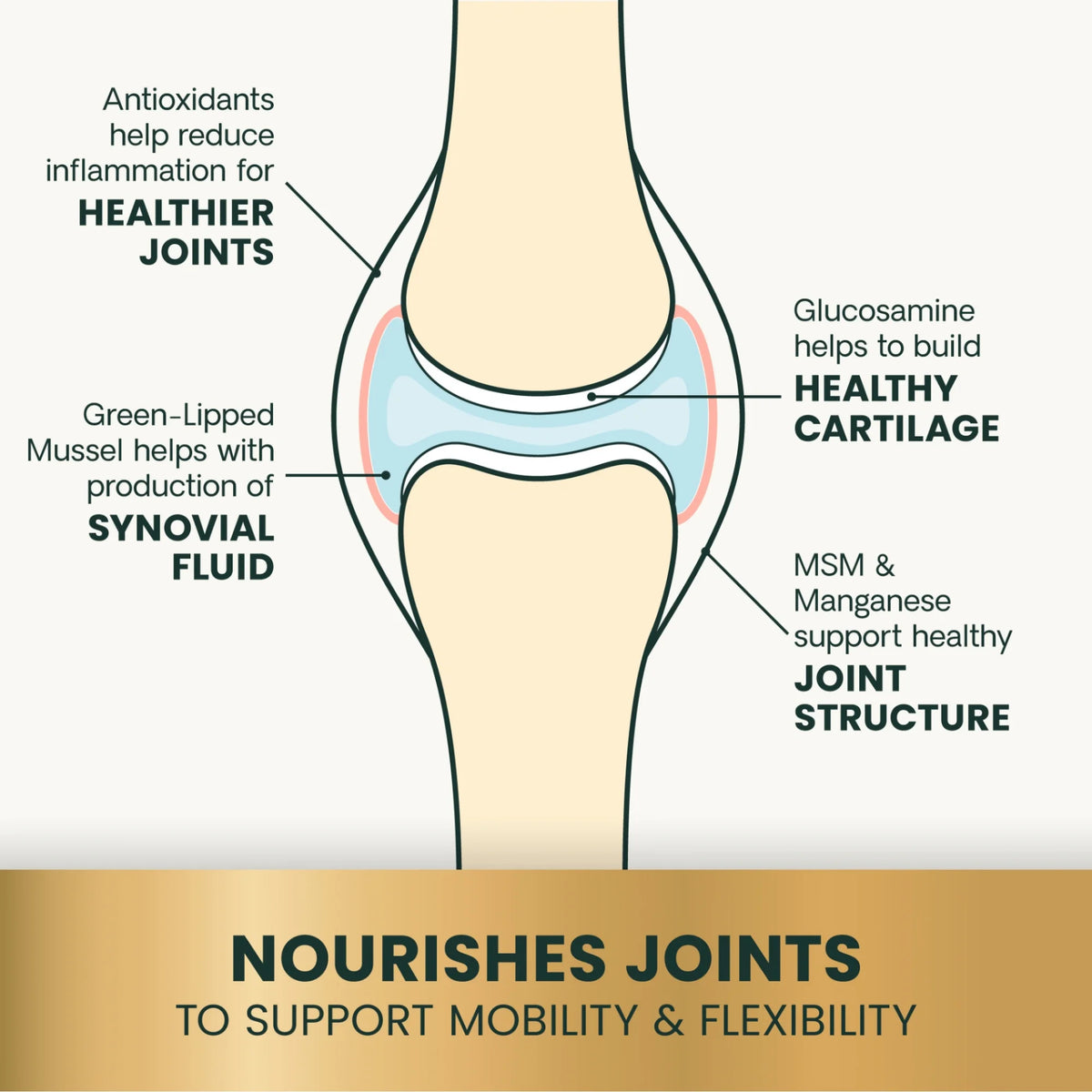 Extra Strength Healthy Hip & Joint for Dogs by VetriScience