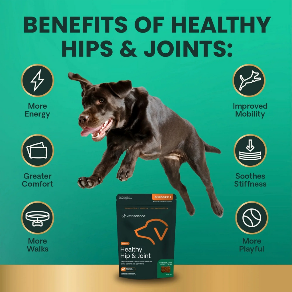 Healthy Hip & Joint for Dogs by VetriScience