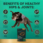 Healthy Hip & Joint for Dogs by VetriScience