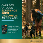 Healthy Hip & Joint for Dogs by VetriScience