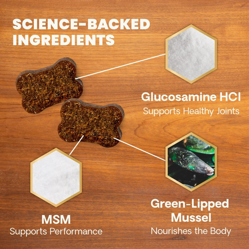Healthy Hip & Joint for Dogs by VetriScience