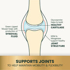 Healthy Hip & Joint for Dogs by VetriScience