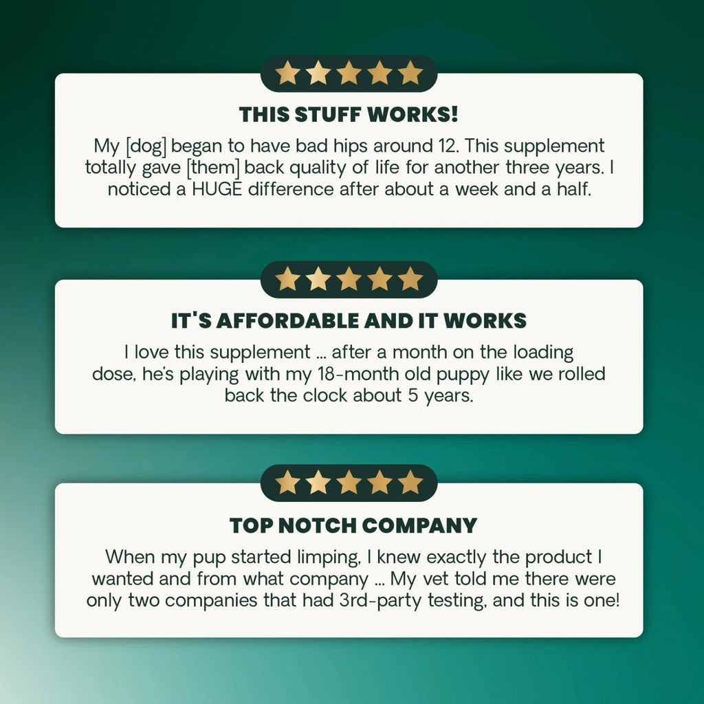 Healthy Hip & Joint for Dogs by VetriScience