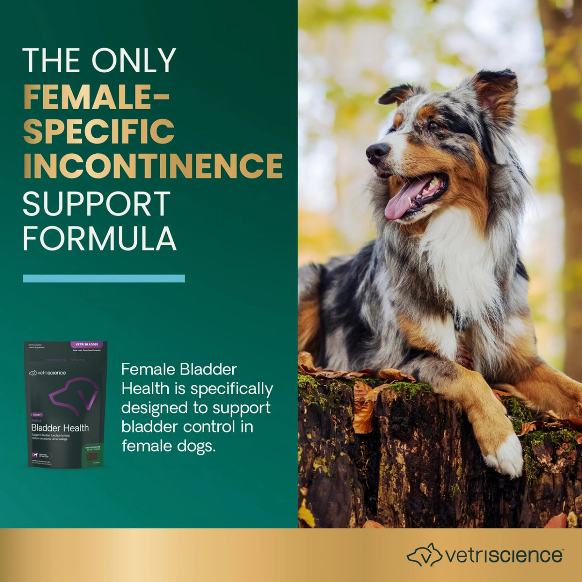Female Bladder Health for Dogs by VetriScience