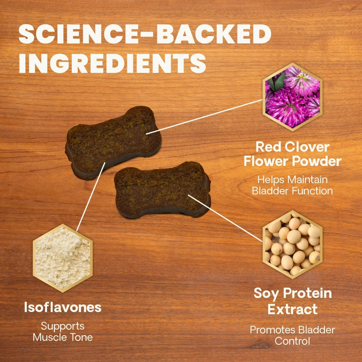 Female Bladder Health for Dogs by VetriScience