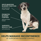 Female Bladder Health for Dogs by VetriScience
