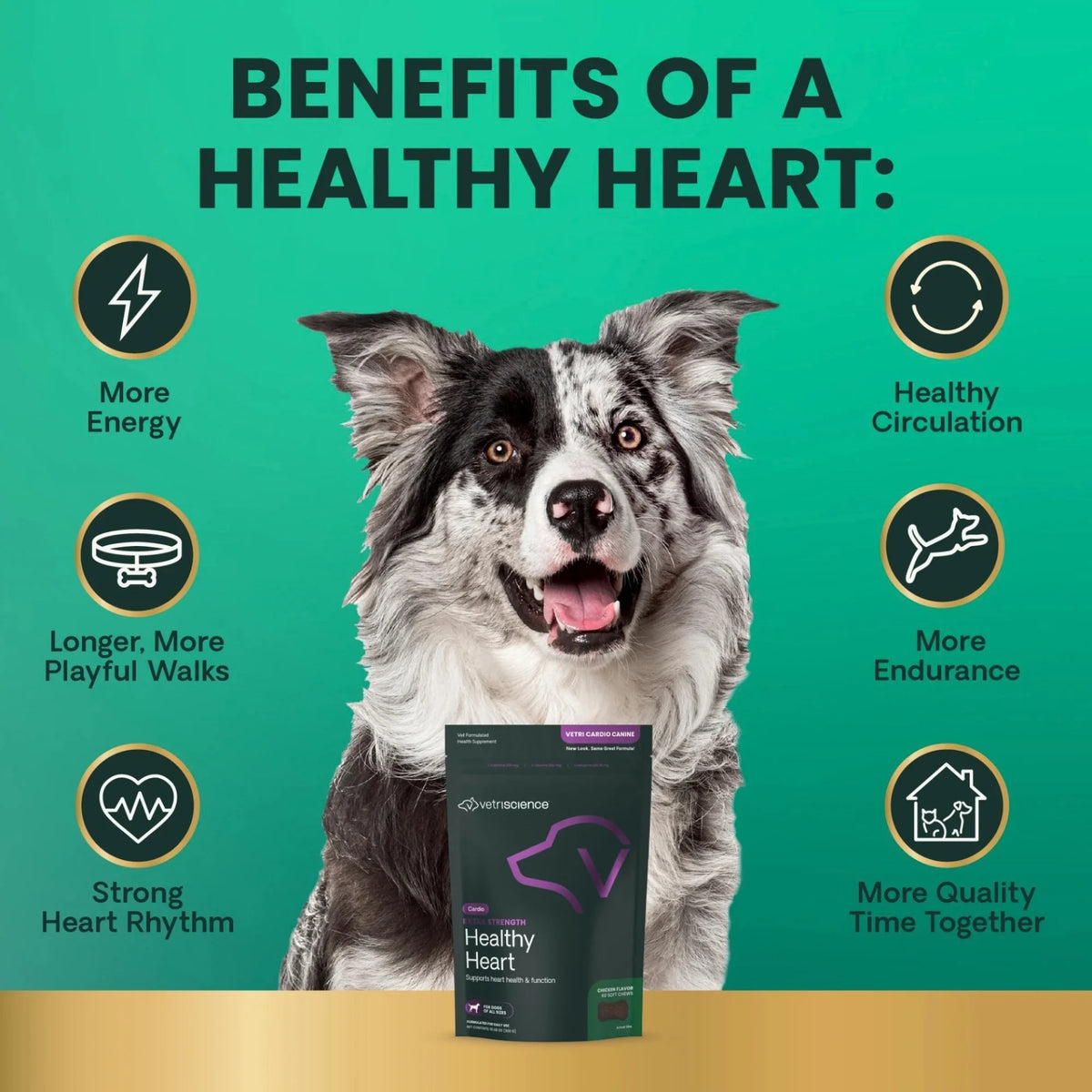 Extra Strength Healthy Heart for Dogs by VetriScience