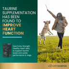 Extra Strength Healthy Heart for Dogs by VetriScience