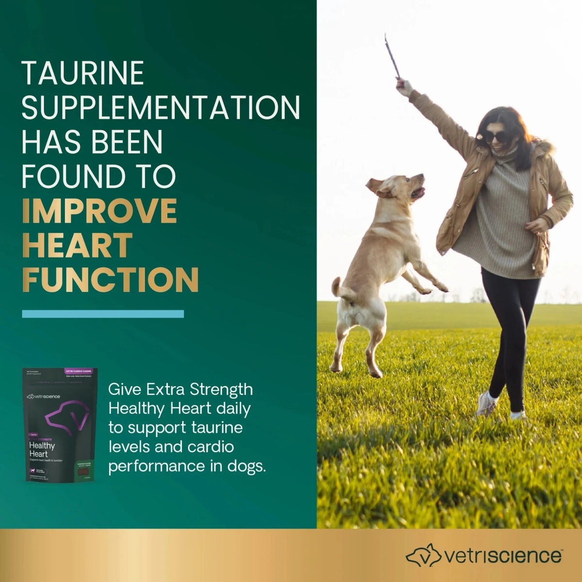 Extra Strength Healthy Heart for Dogs by VetriScience