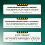 Extra Strength Healthy Heart for Dogs by VetriScience