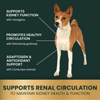 Veterinary Strength UT Health for Dogs by VetriScience