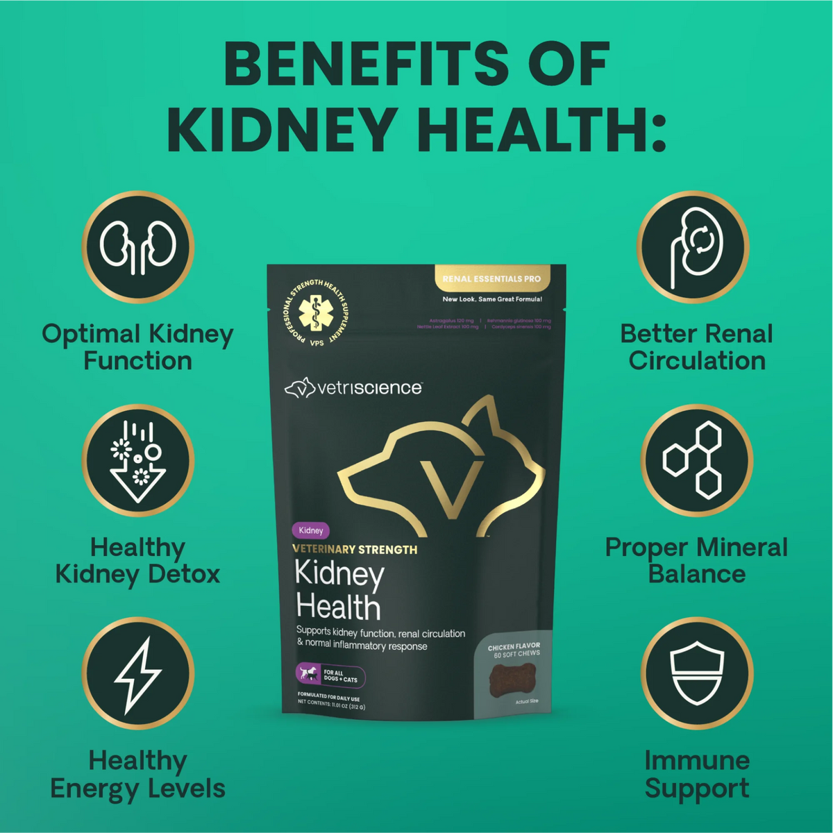 Veterinary Strength Kidney Health for Dogs & Cats by VetriScience