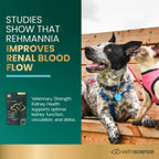Veterinary Strength Kidney Health for Dogs & Cats by VetriScience