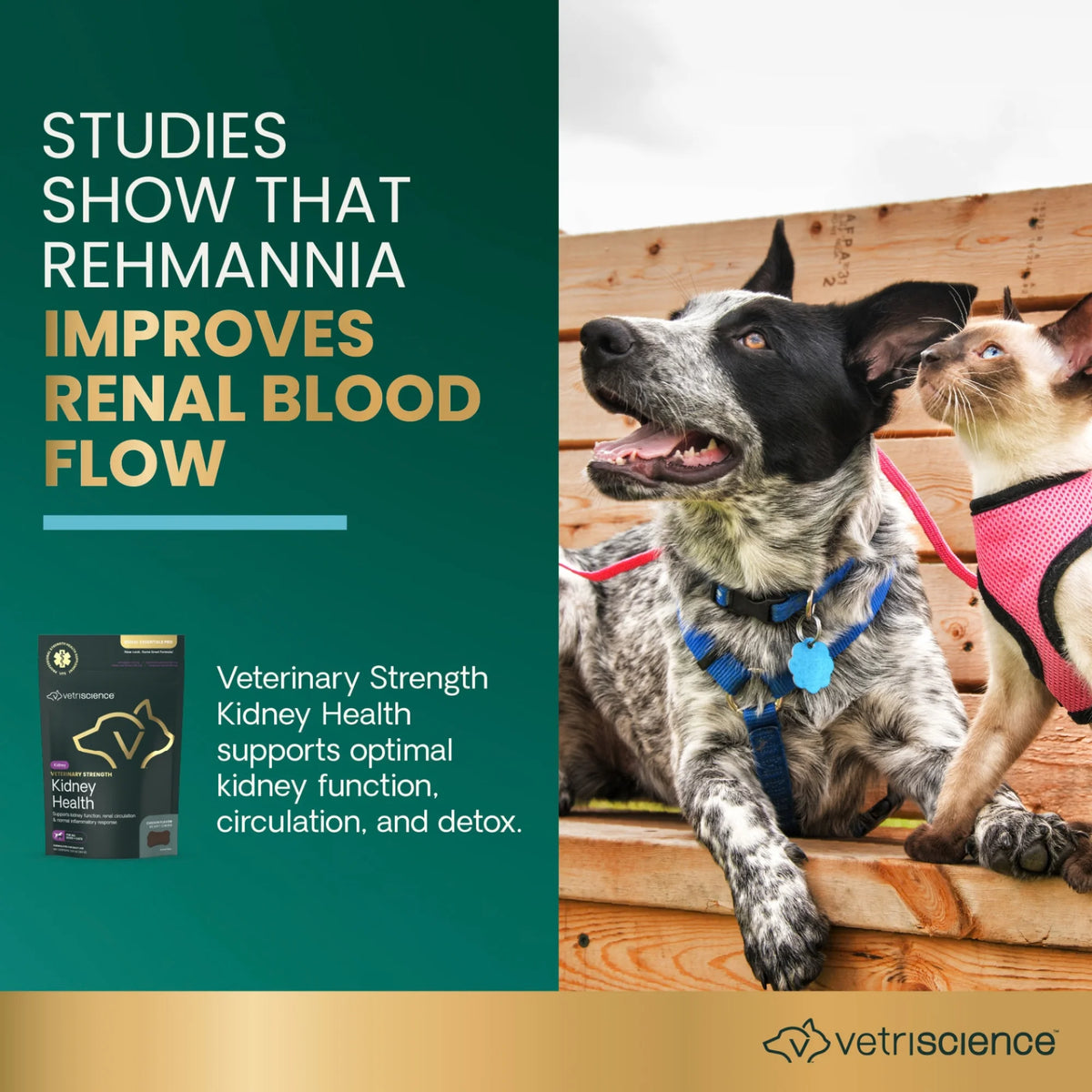 Veterinary Strength Kidney Health for Dogs & Cats by VetriScience