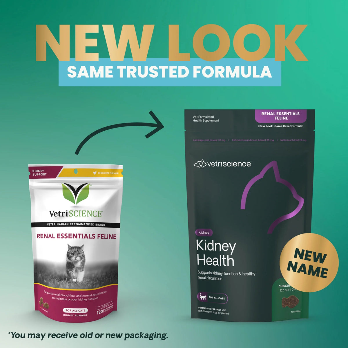 Kidney Health for Cats by VetriScience