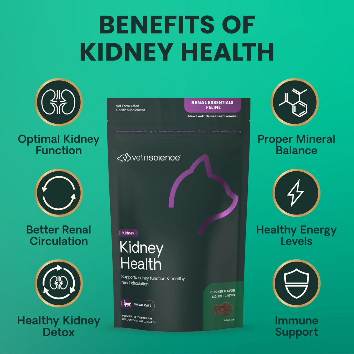 Kidney Health for Cats by VetriScience