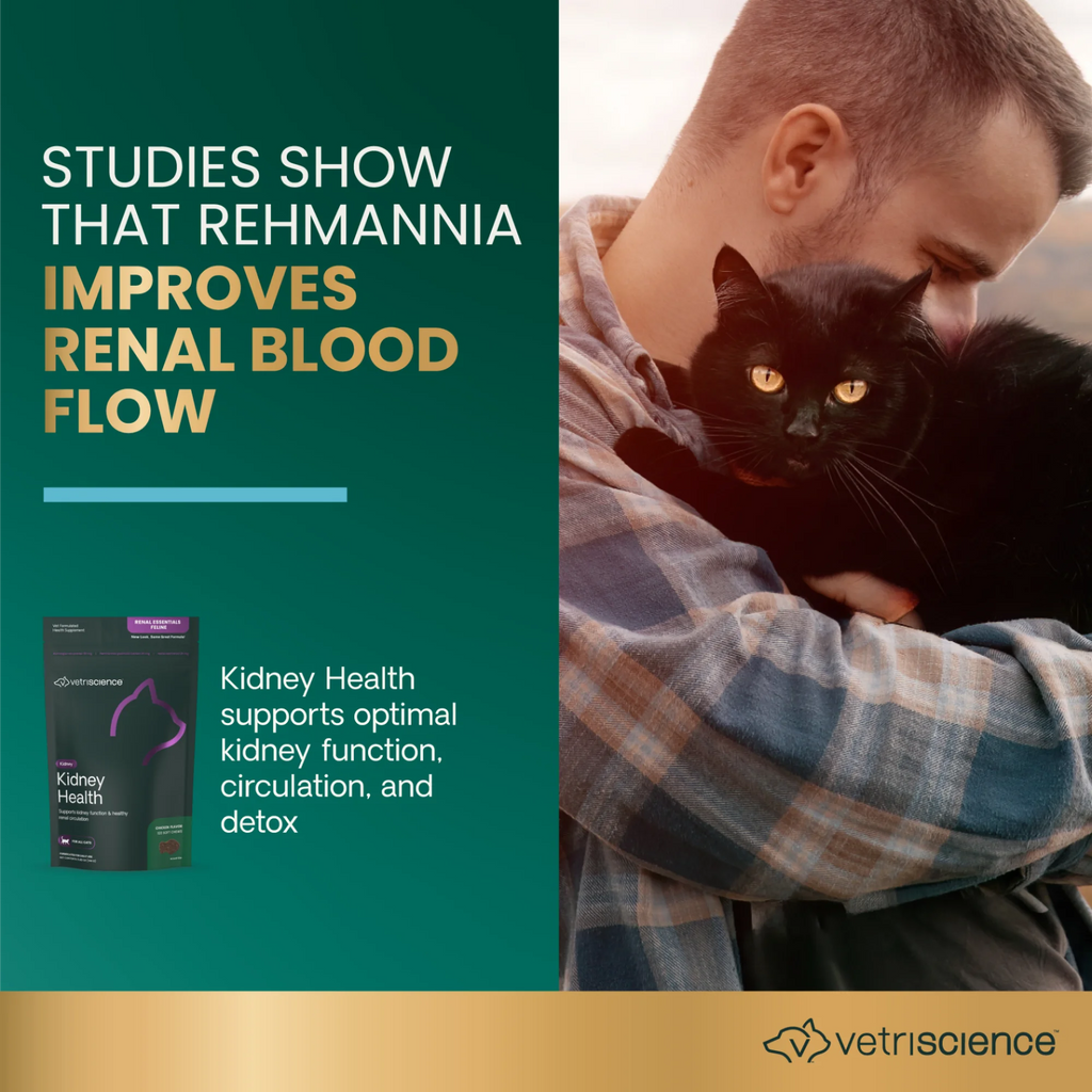 Kidney Health for Cats by VetriScience