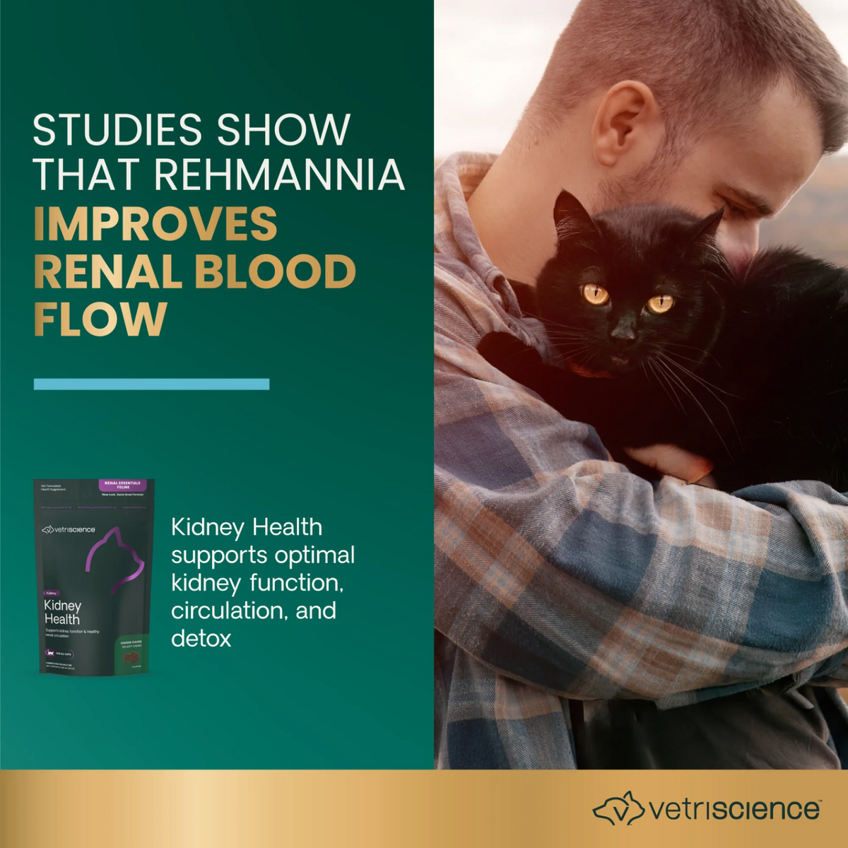 Kidney Health for Cats by VetriScience