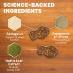 Kidney Health for Cats by VetriScience