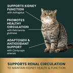 Kidney Health for Cats by VetriScience