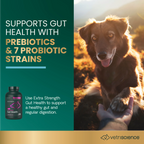 Extra Strength Gut Health for Dogs & Cats by VetriScience