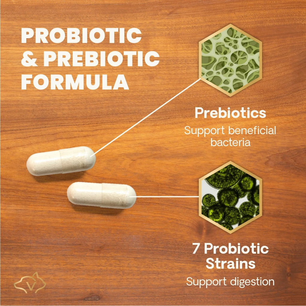Extra Strength Gut Health for Dogs & Cats by VetriScience