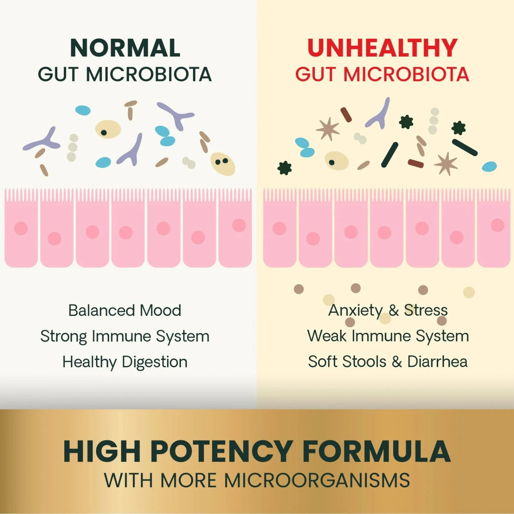 Extra Strength Gut Health for Dogs & Cats by VetriScience