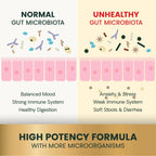 Extra Strength Gut Health for Dogs & Cats by VetriScience