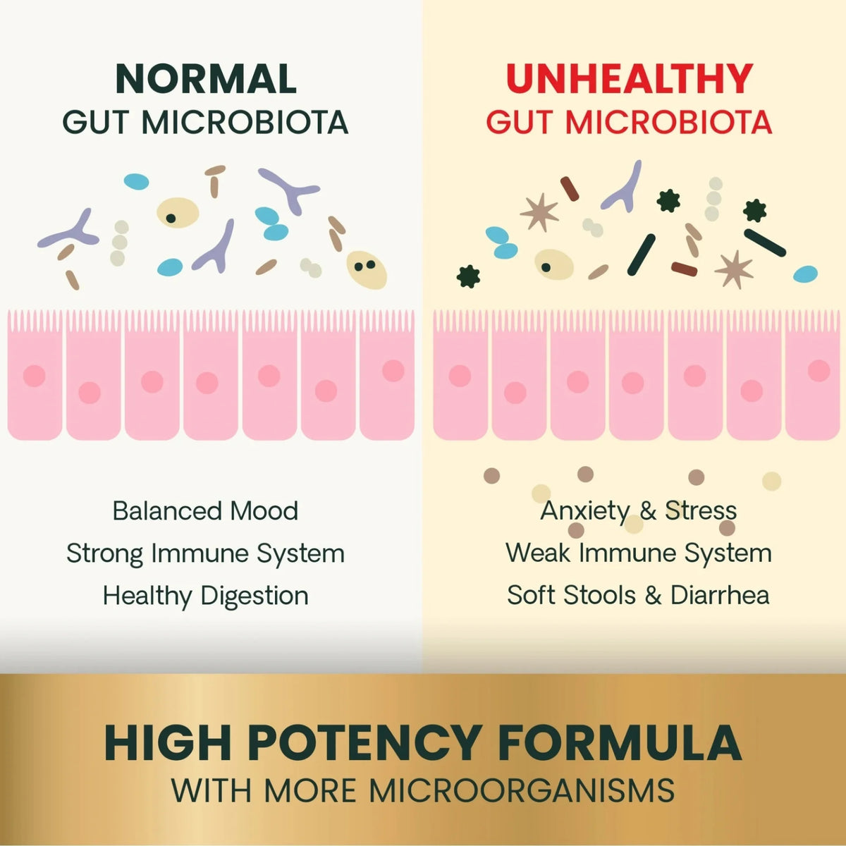 Extra Strength Gut Health for Dogs & Cats by VetriScience