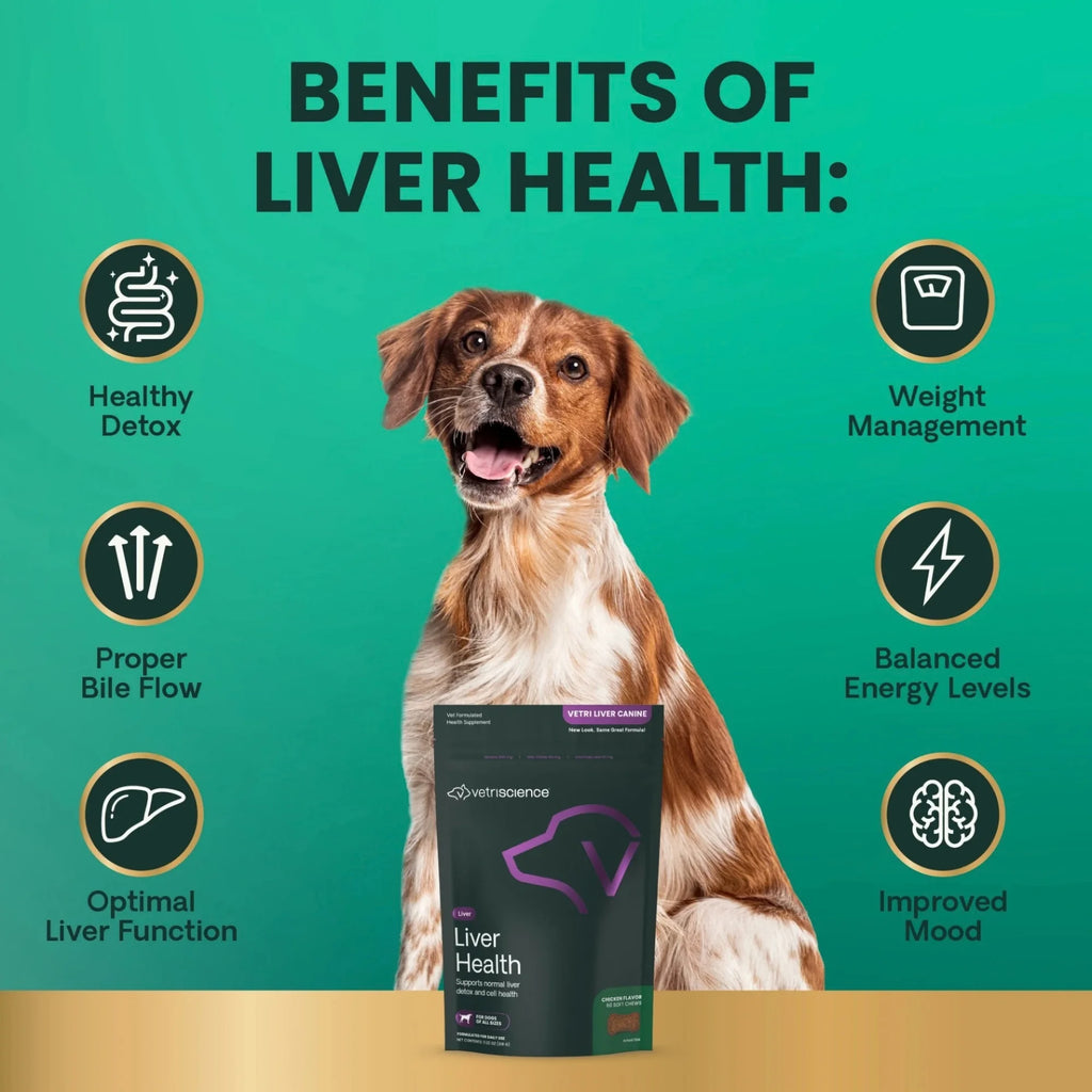 Liver Health for Dogs by VetriScience