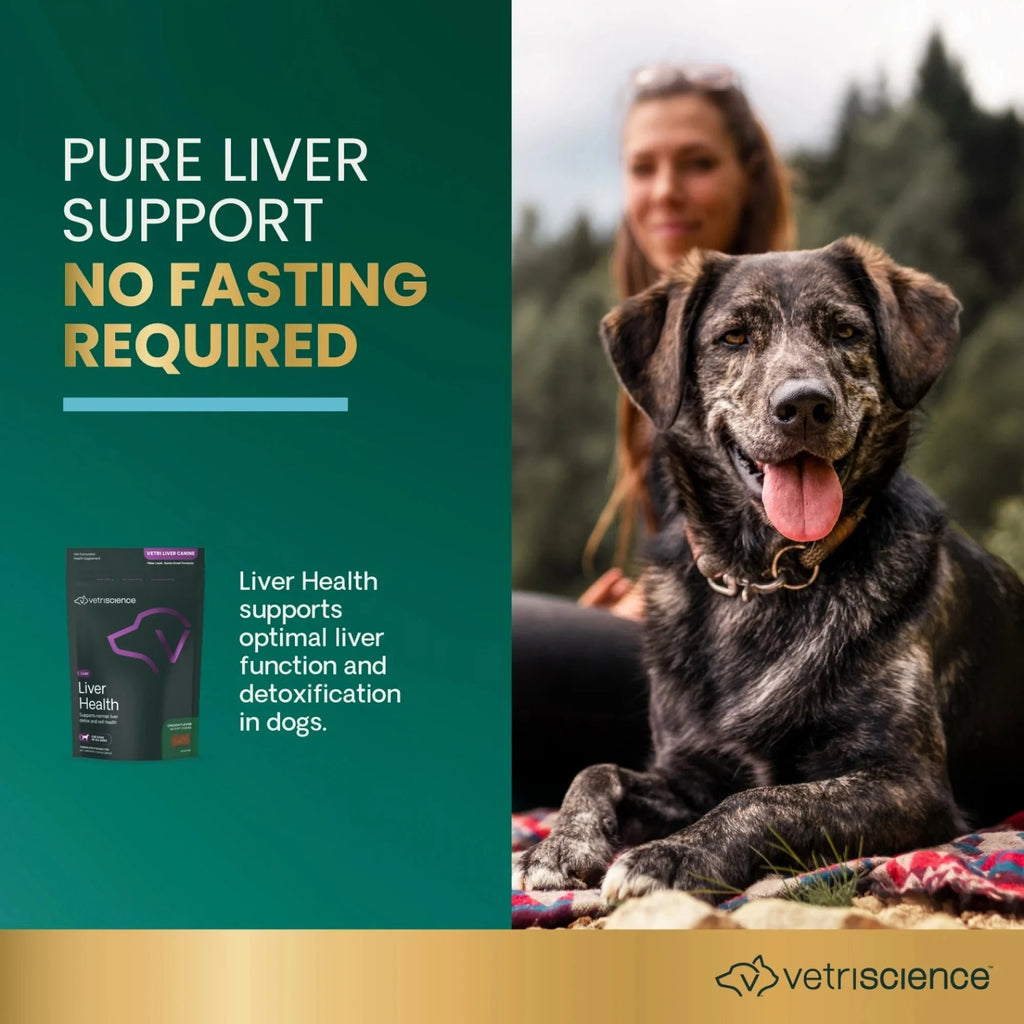 Liver Health for Dogs by VetriScience