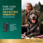 Liver Health for Dogs by VetriScience