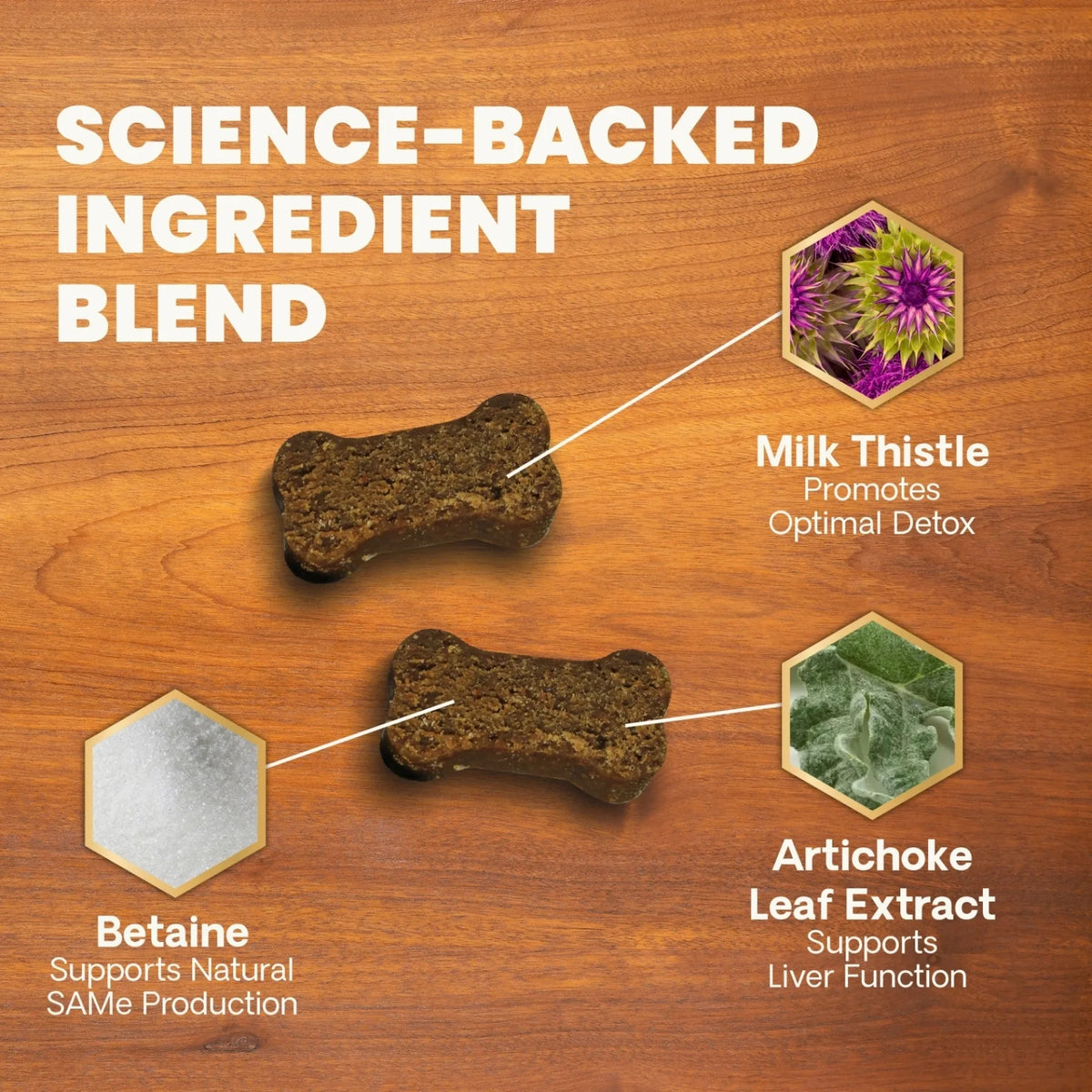 Liver Health for Dogs by VetriScience