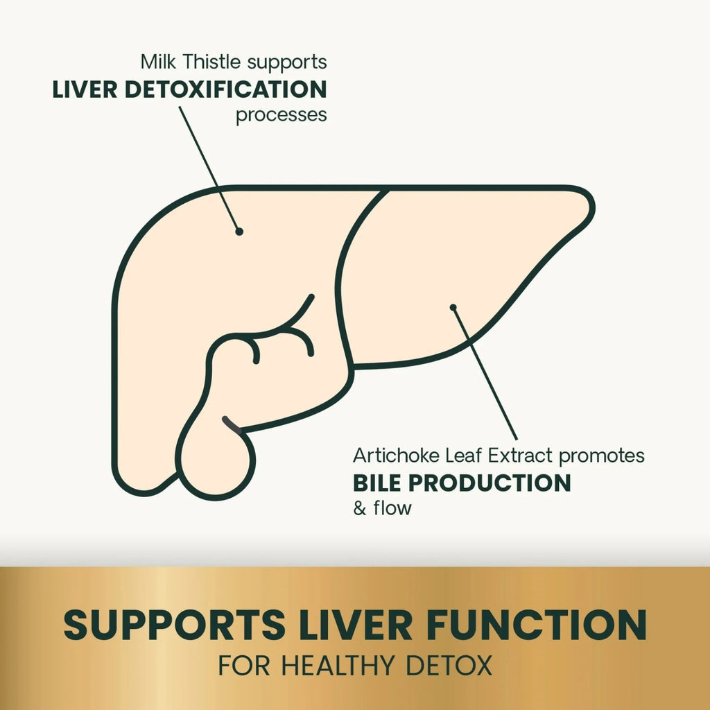 Liver Health for Dogs by VetriScience