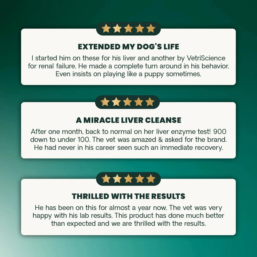 Liver Health for Dogs by VetriScience