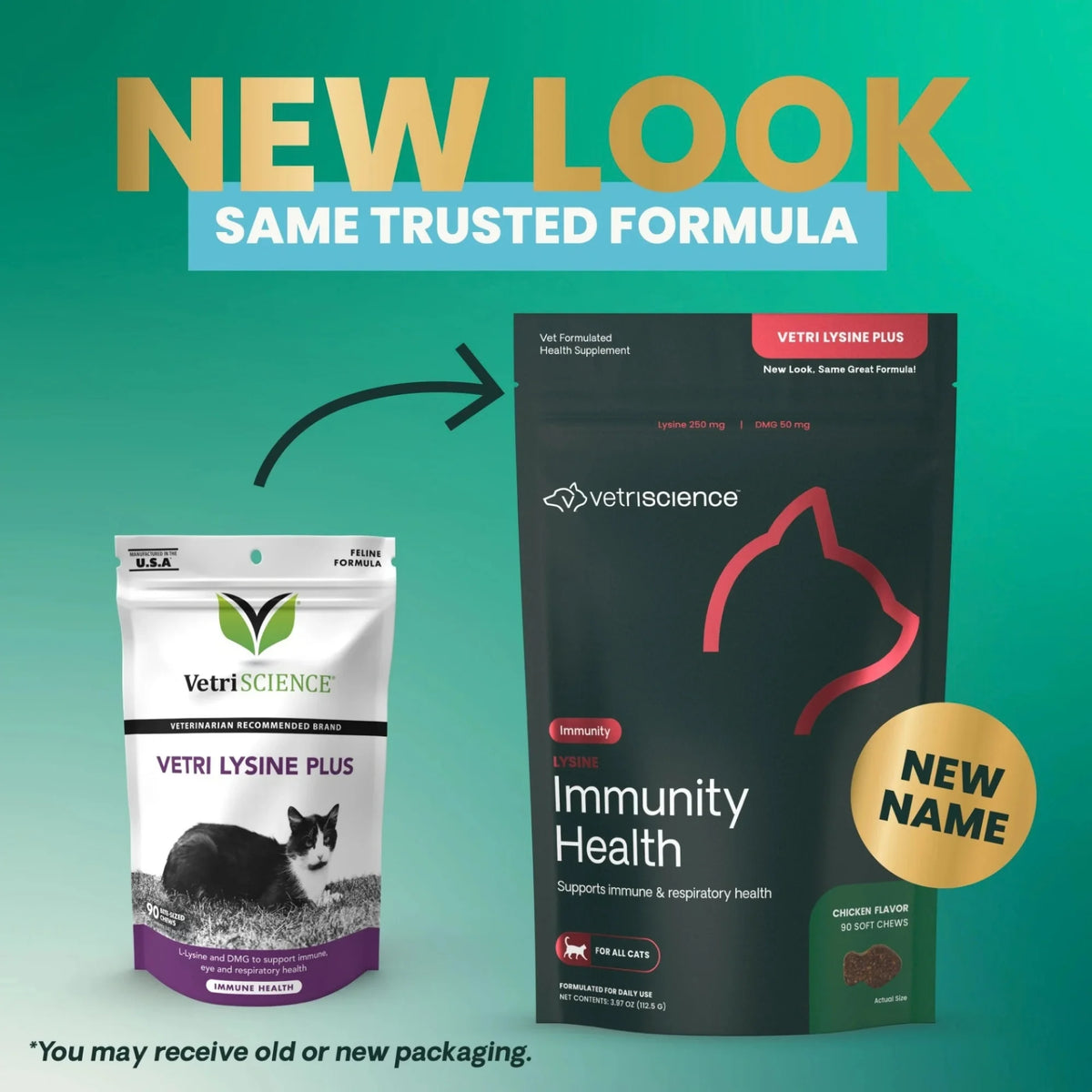 Lysine Immunity Health for Cats by VetriScience