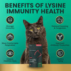 Lysine Immunity Health for Cats by VetriScience