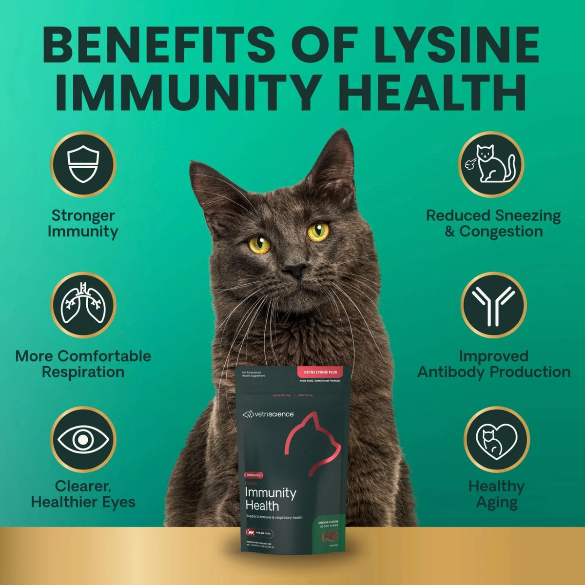 Lysine Immunity Health for Cats by VetriScience