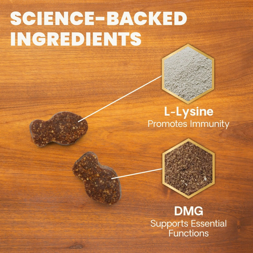 Lysine Immunity Health for Cats by VetriScience
