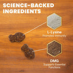 Lysine Immunity Health for Cats by VetriScience