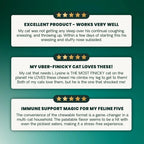 Lysine Immunity Health for Cats by VetriScience