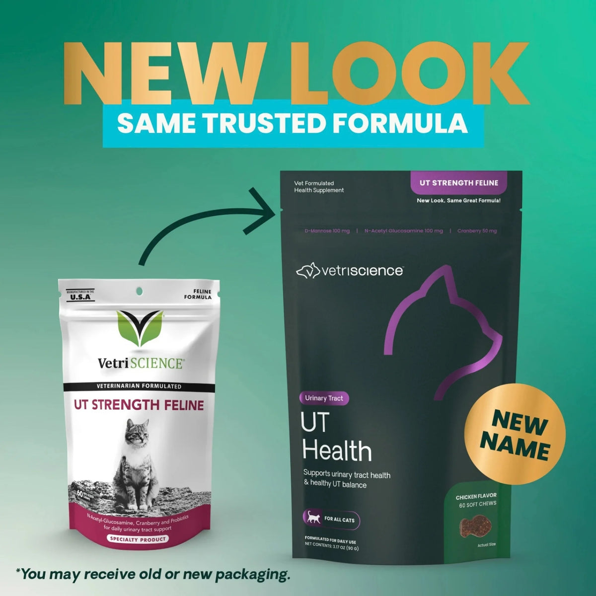 UT Health for Cats by VetriScience