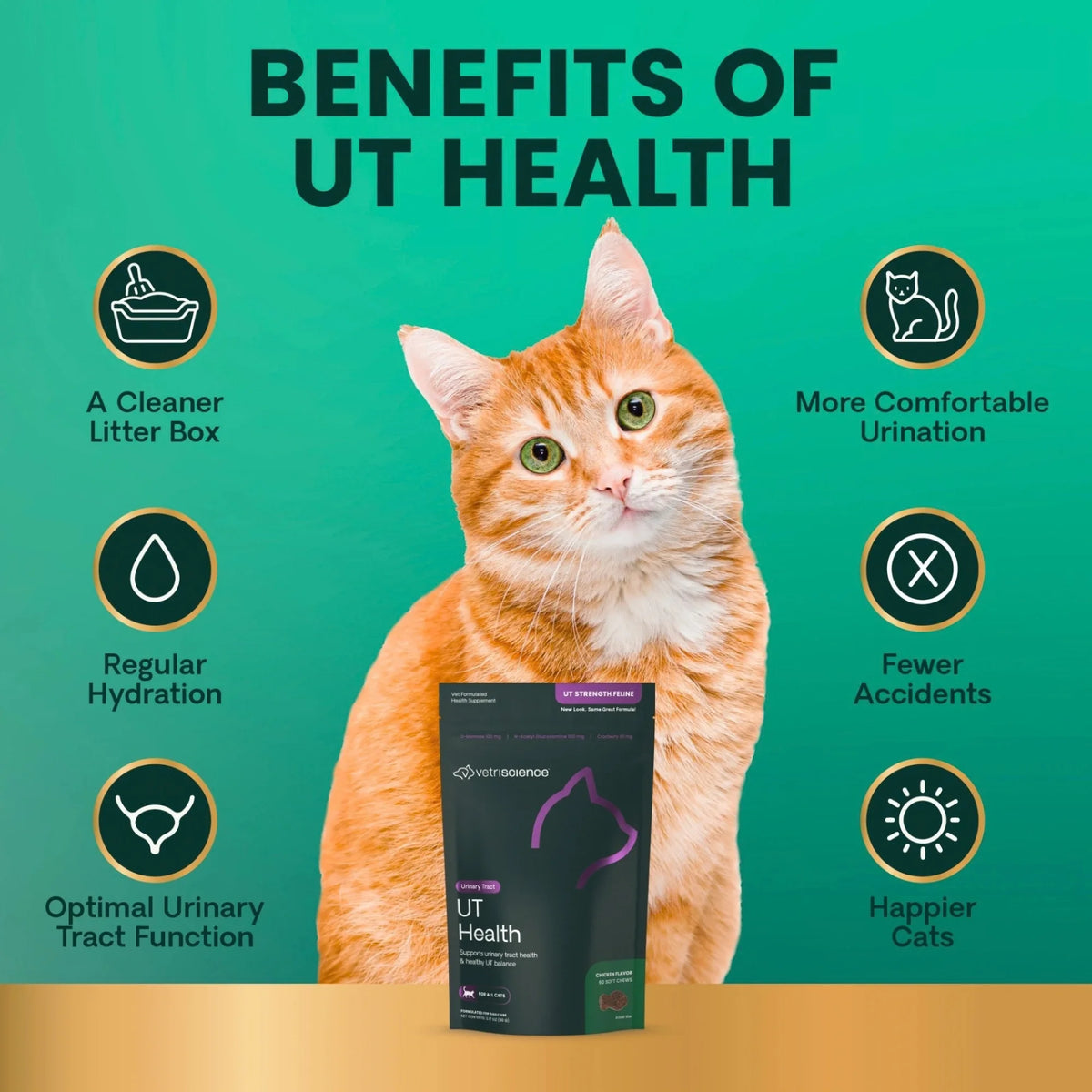 UT Health for Cats by VetriScience