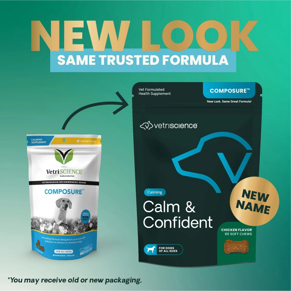 Calm & Confident for Dogs by VetriScience