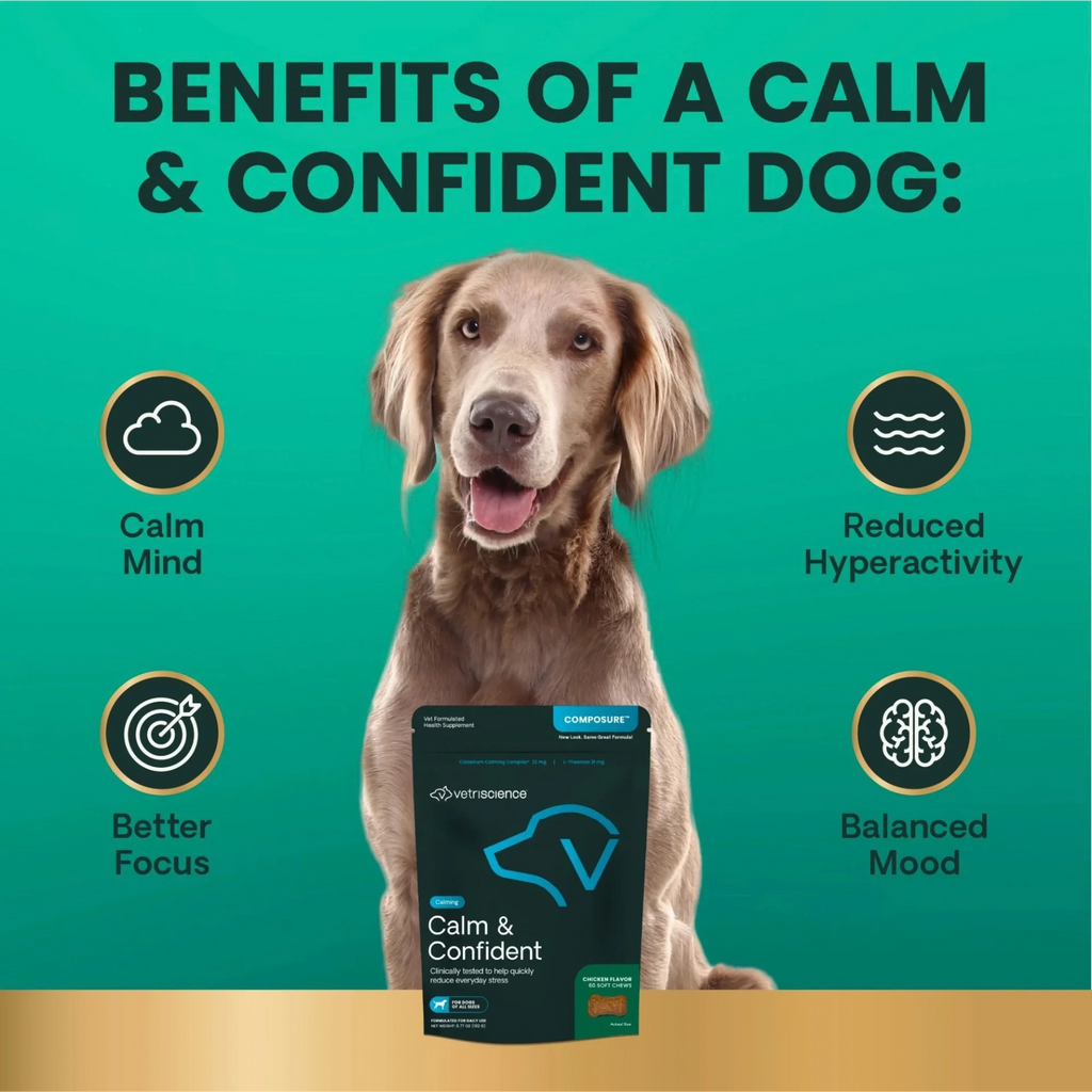 Calm & Confident for Dogs by VetriScience