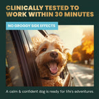 Calm & Confident for Dogs by VetriScience