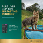 Liver Health for Cats by VetriScience