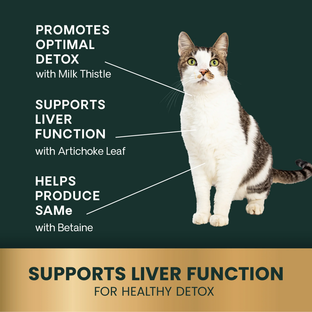 Liver Health for Cats by VetriScience