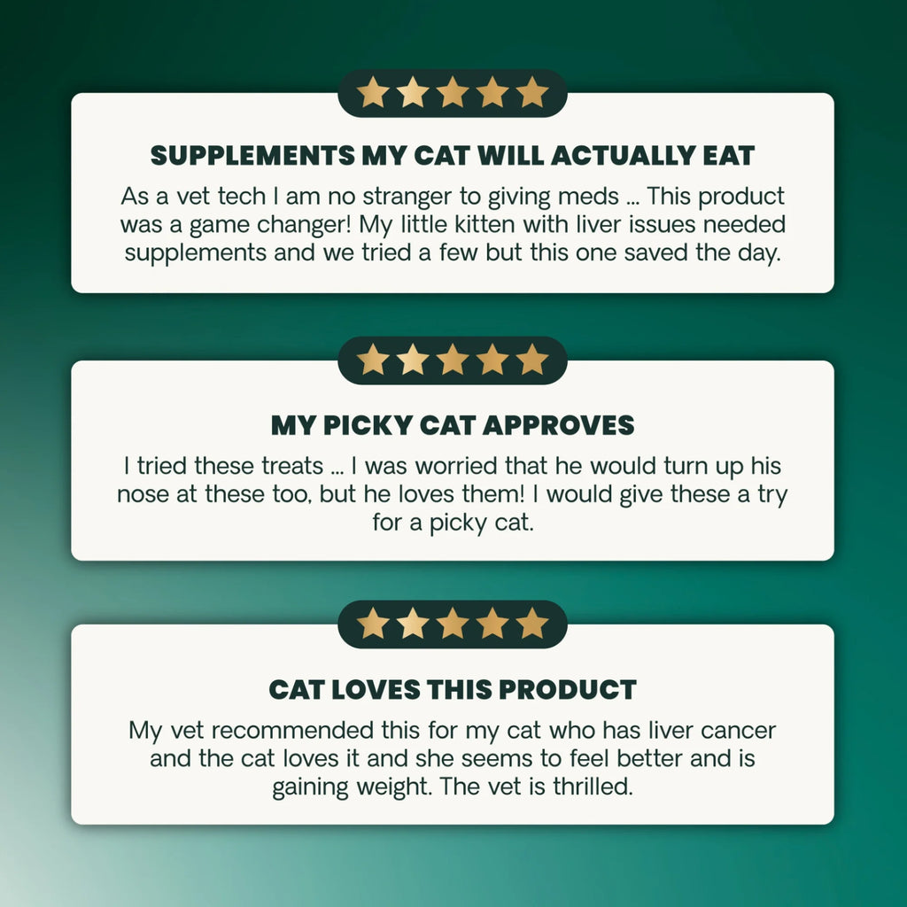 Liver Health for Cats by VetriScience