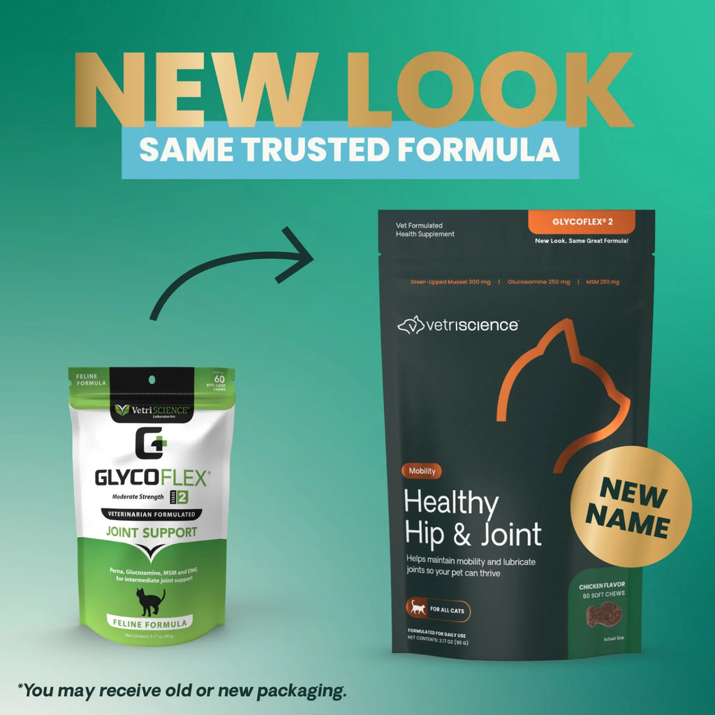 Healthy Hip & Joint for Cats by VetriScience